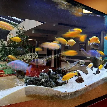 Diament Spodek Hotel