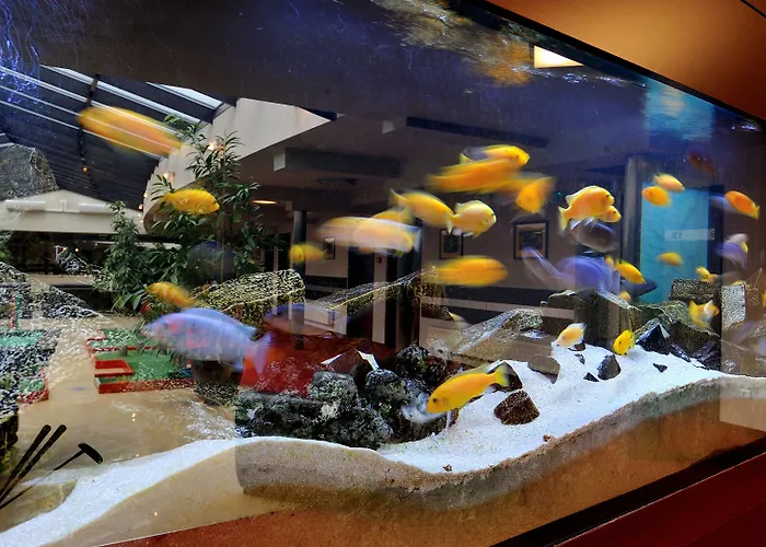 Diament Spodek Hotel 3*