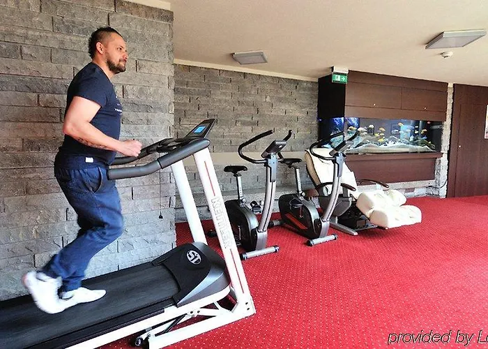 Diament Spodek 3* Katovice